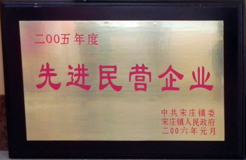 先進(jìn)民營(yíng)企業(yè)
